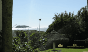 Alameda interna de circulação do condomínio arborizada com palmeiras e bougainvilles.