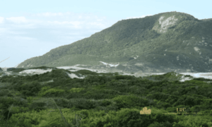 Paisagem natural exuberante ao redor do condomínio com morro e mar.