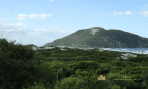 Vista geral da natureza preservada no entorno do condomínio pé na areia, Costão das Gaivotas Praia do Santinho.